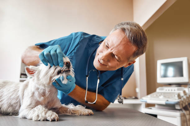 Best Emergency Wisdom Teeth Removal in Fair Haven, NJ
